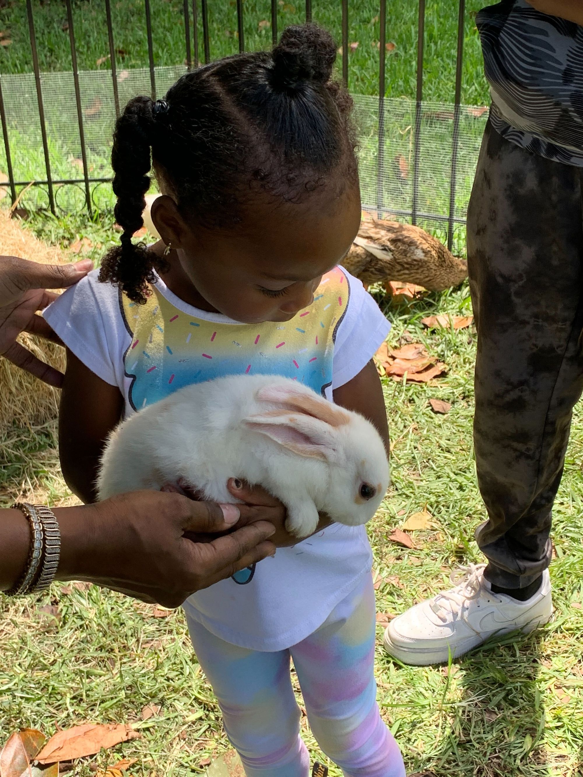 12 Days and Counting!