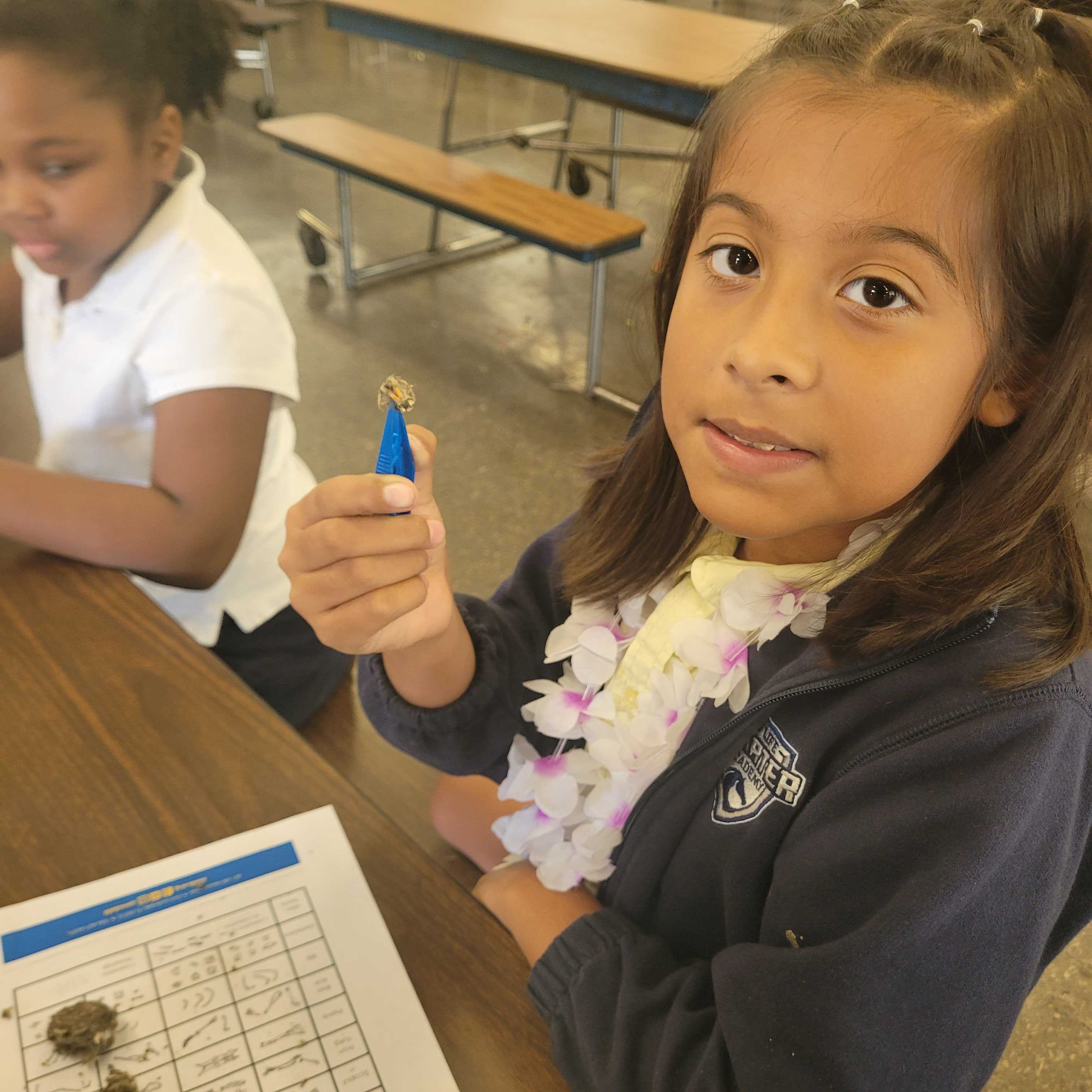 Students participating in STEM activities!