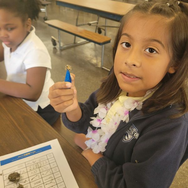 Students participating in STEM activities!